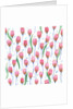 Pink Tulips, 2017 by Elizabeth Rider