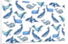 Whales, 2017 by Elizabeth Rider