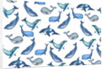 Whales, 2017 by Elizabeth Rider