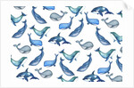 Whales, 2017 by Elizabeth Rider