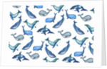 Whales, 2017 by Elizabeth Rider