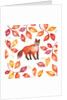 Fox, 2017 by Elizabeth Rider