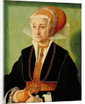 Portrait of a Lady, c.1539 by Bartholomaeus the Elder Bruyn
