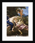 The Death of Adonis, c.1683-85 by Il Baciccio