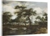 A Pond in the Forest, 1668 by Meindert Hobbema