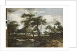 A Pond in the Forest, 1668 by Meindert Hobbema