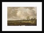 Landscape with Dunes, 1647 by Jan Josephsz van Goyen