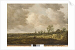 Landscape with Dunes, 1647 by Jan Josephsz van Goyen