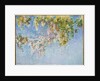 Wisteria c.1919-20 by Claude Monet