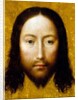 The Holy Face, 1500-15 by Flemish School