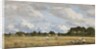 Haymaking, c.1870-90 by Eugene Louis Boudin
