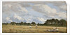 Haymaking, c.1870-90 by Eugene Louis Boudin
