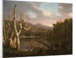 Lake with Dead Trees by Thomas Cole