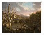 Lake with Dead Trees by Thomas Cole