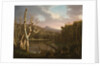 Lake with Dead Trees by Thomas Cole