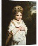 The Strawberry Girl, 1773-77 by Joshua Reynolds