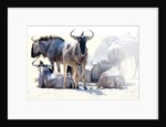 Wildebeest, Etosha, 2017 by Eric Meyer