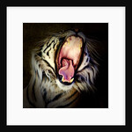 Tiger Teeth, 2017 by Eric Meyer