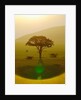Paradise after the rain, Chyulu Hills, 2018 by Anonymous