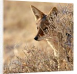 I Can See You, 2017 by Eric Meyer