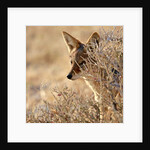 I Can See You, 2017 by Eric Meyer