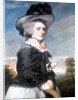 Portrait of Miss Keppel, afterwards Mrs Thomas Meyrick, 1782 by Joshua Reynolds