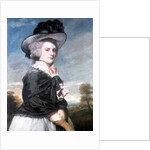 Portrait of Miss Keppel, afterwards Mrs Thomas Meyrick, 1782 by Joshua Reynolds