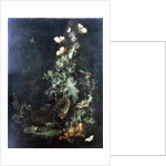 Still Life with a Snake by Elias van den Broeck