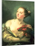 A Young Woman With a Macaw, 18th century by Giovanni Battista Tiepolo
