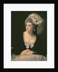 Portrait of Mary Thomas, the Artist's Wife, 18th century by Johann Zoffany