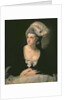 Portrait of Mary Thomas, the Artist's Wife, 18th century by Johann Zoffany