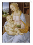The Virgin and Child, 15th-16th century by Lorenzo di Credi