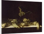 Still Life with Hazel-nuts, 1696 by Adrian Coorte