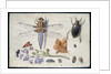 A Cockchafer, Beetle, Woodlice and other Insects, with a Sprig of Auricula, early 1650s by Jan van Kessel