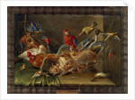 Decorative Still-Life Composition with Birds and Two Bats by Jan van the Elder Kessel