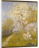 Apple Blossom at Dennemont, 1893 by Charles Edward Conder