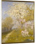 Apple Blossom at Dennemont, 1893 by Charles Edward Conder
