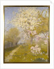 Apple Blossom at Dennemont, 1893 by Charles Edward Conder