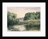 View of a Lake with Trees, 1857 by John William Inchbold
