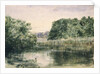 View of a Lake with Trees, 1857 by John William Inchbold