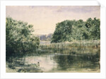 View of a Lake with Trees, 1857 by John William Inchbold