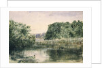 View of a Lake with Trees, 1857 by John William Inchbold