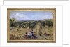 The Harvest Field, 1857 - 1858 by Nevil Oliver Lupton
