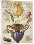 Arrangement of Flowers in a Vase, with Insects, 1594 by Joris Hoefnagel