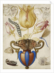 Arrangement of Flowers in a Vase, with Insects, 1594 by Joris Hoefnagel