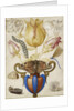 Arrangement of Flowers in a Vase, with Insects, 1594 by Joris Hoefnagel