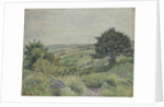 The Cottage Garden, Fishpond, 1915 by Lucien Pissarro