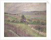 The Thierceville Road, Early Spring, 1893 by Lucien Pissarro