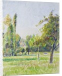 Study of the orchard of the artist's house at Eragny-sur-Epte, c. 1890 by Camille Pissarro