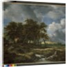 Landscape near Muiderberg, early 1650s by Jacob Isaaksz. or Isaacksz. van Ruisdael